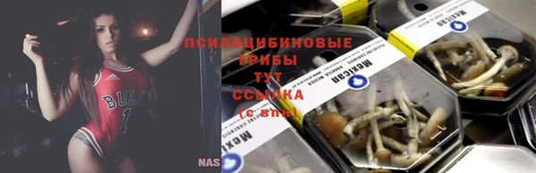 таблы Богданович
