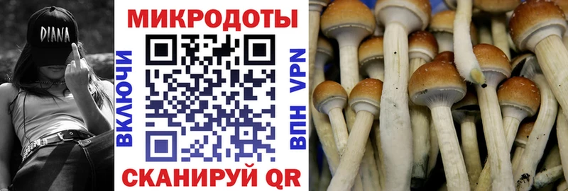 Галлюциногенные грибы GOLDEN TEACHER  Вяземский 